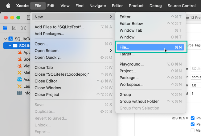 Create a test iOS app for SQLite 2