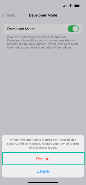 How to Enable Developer Mode on iPhone and iPad 5