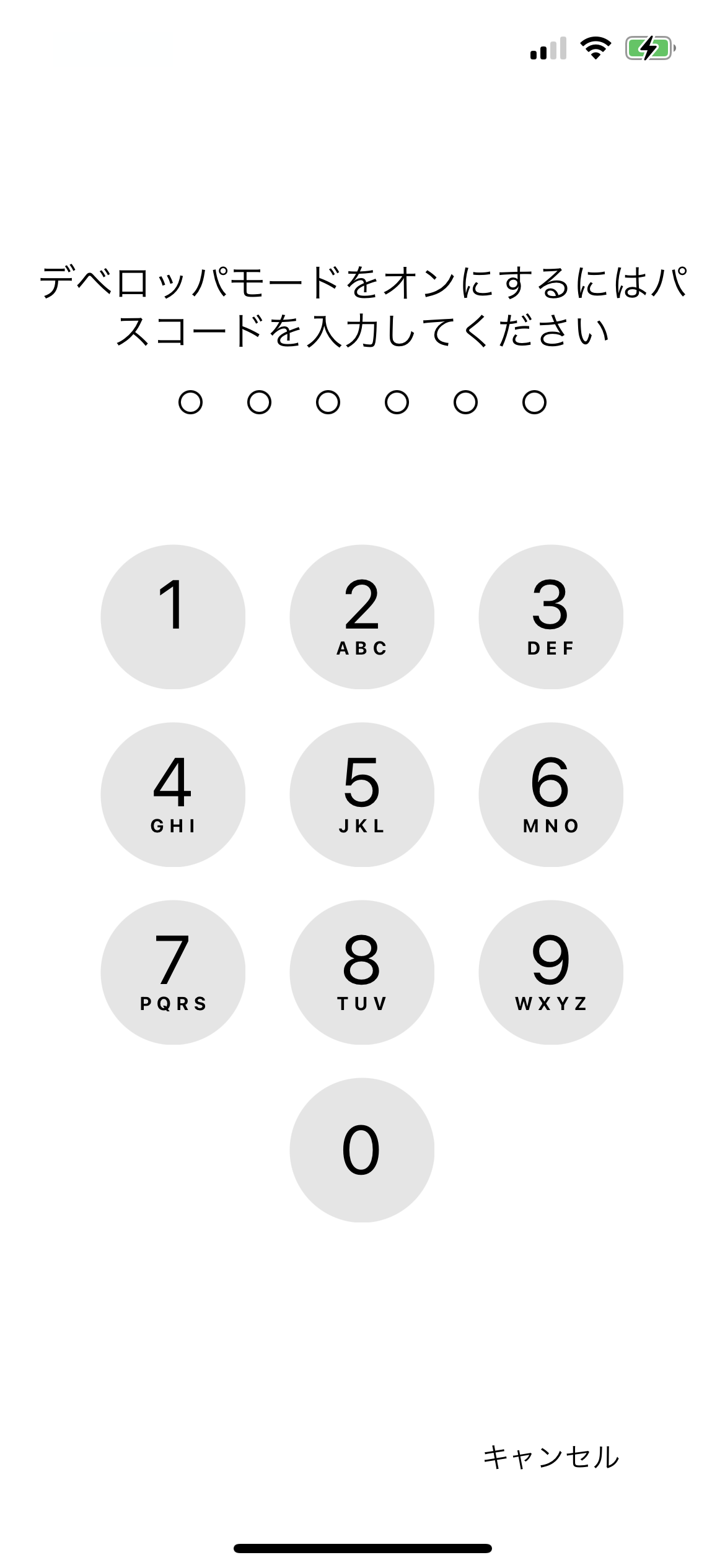 iPhone・iPad の Developer Mode（デベロッパモード）を有効にする方法 7