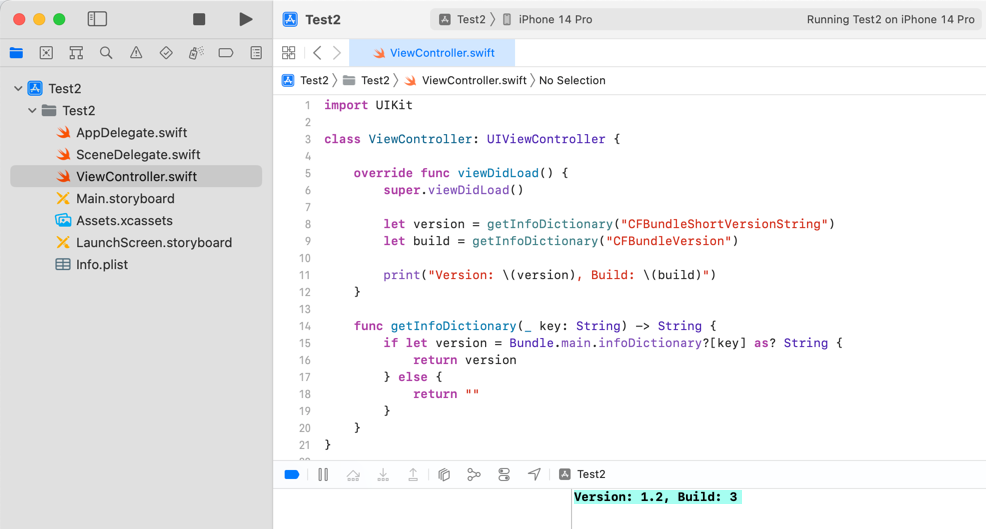 Check app version and build number in Xcode 3
