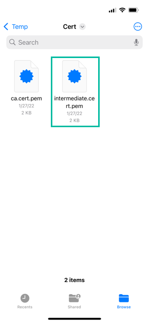 How to Install Intermediate and Root CA Certificates on iPhone 1
