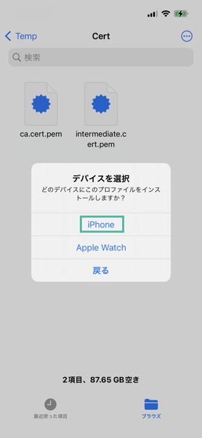 iPhone に中間 CA 証明書とルート CA 証明書をインストールして信頼する方法 12