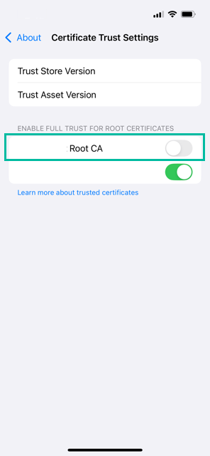 How to Install Intermediate and Root CA Certificates on iPhone 24