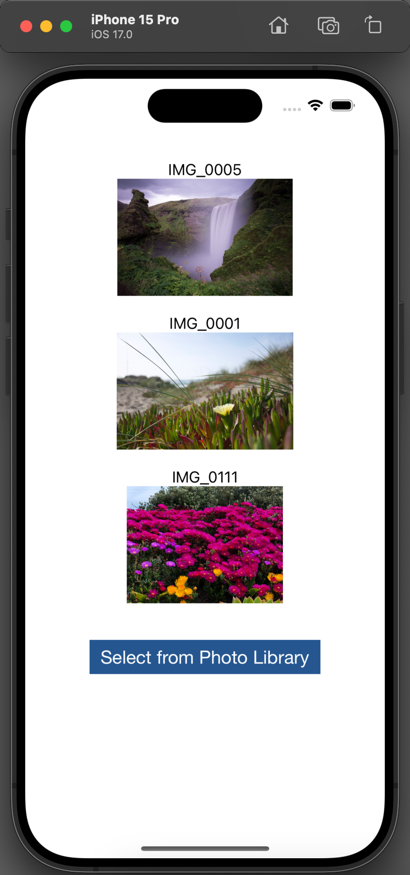 Select Multiple Images from Photo Library 10